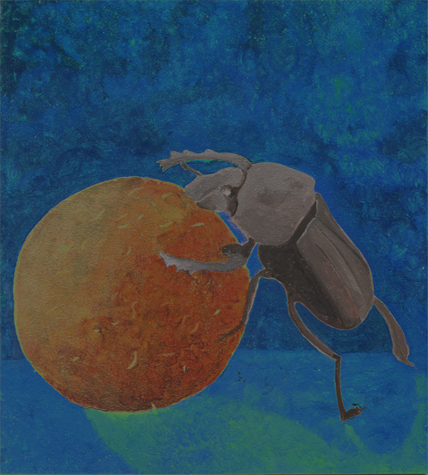 Mistkäfer - Skarabaeus